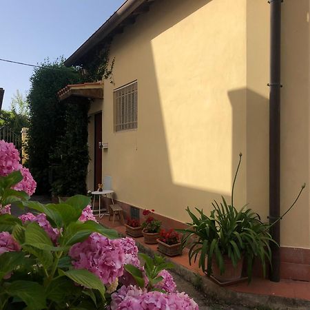 Apartmán Casina Di Nina Livorno Exteriér fotografie